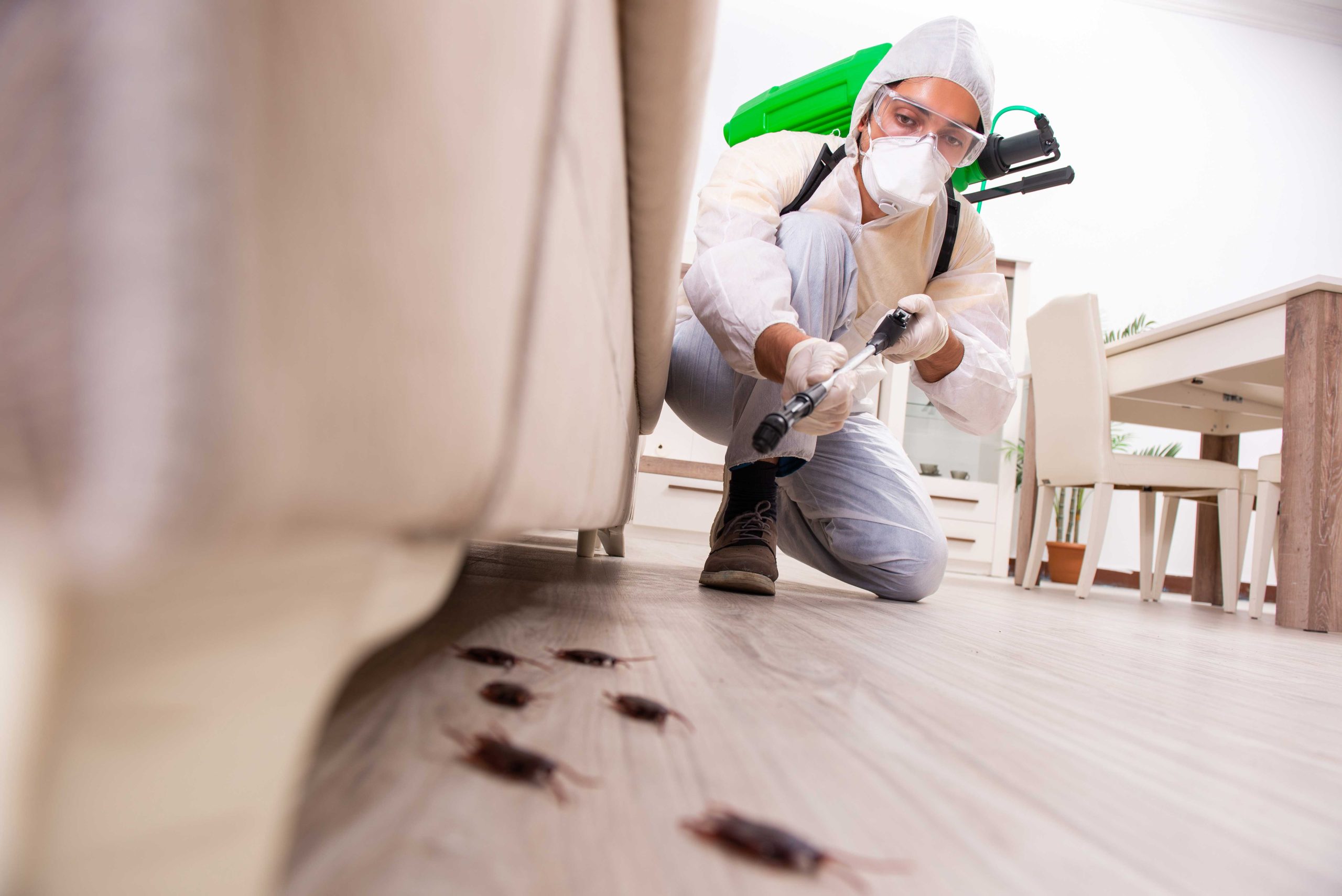 A contractor clearing termite damage in a home in Los Angeles, CA.
